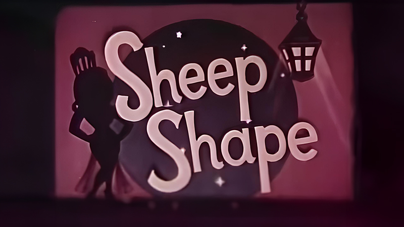 Sheep Shape